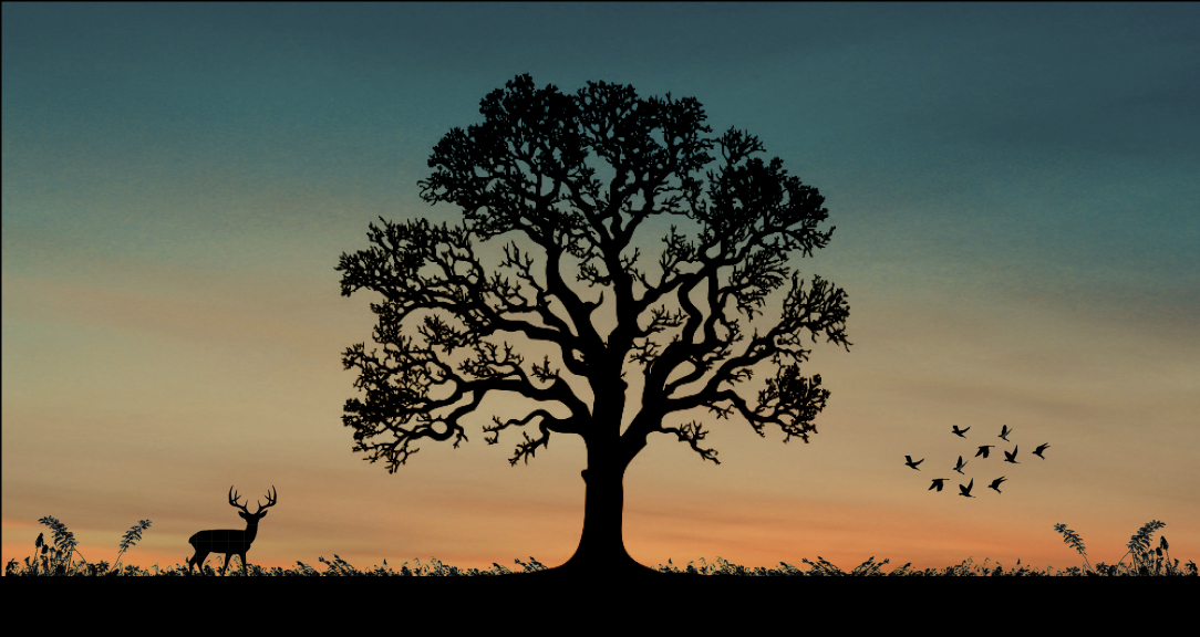 Land & Wildlife