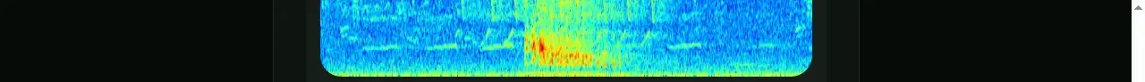 Spectrogram showing wild turkey gobble frequencies over time